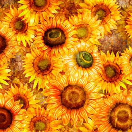 Blossom Sunflowers by Quilting Treasures 28837 S