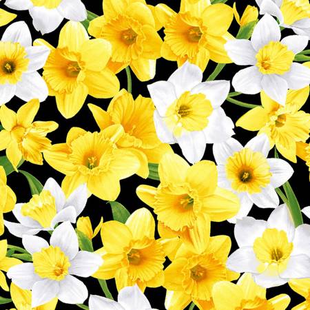 Daffodils on Black C1192-BLACK by Timeless Treasures Fabrics
