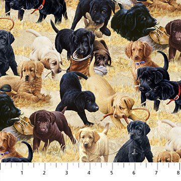 Puppies for Sale by Northcott Fabrics DP24253