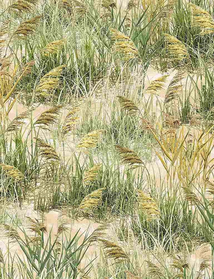 Beach Grass by Timeless Treasures C1084