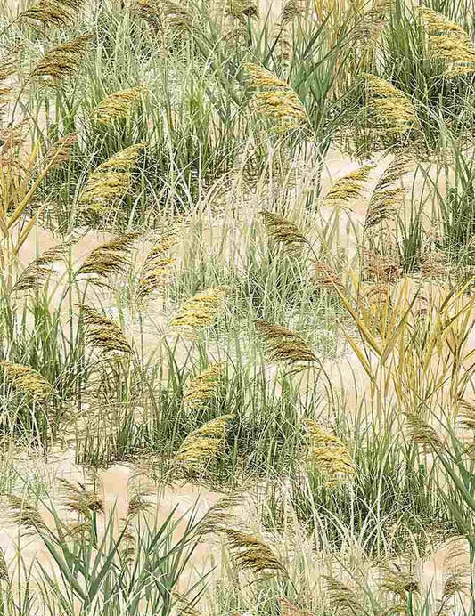 Beach Grass by Timeless Treasures C1084