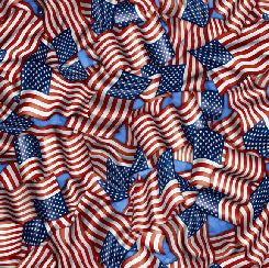 Indivisible Tossed Flags 28684 B by QT Fabrics