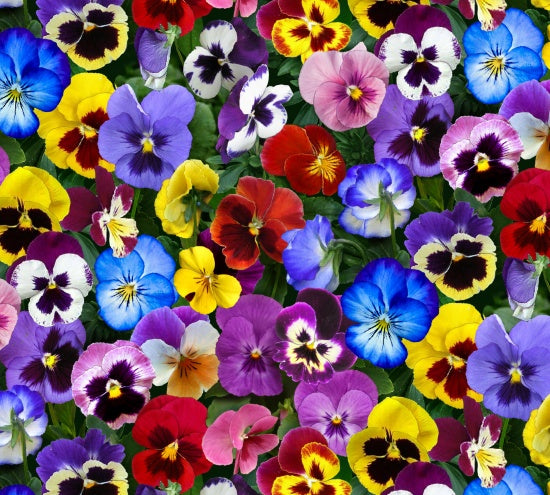 Lovely Pansies 475-multi by Elizabeth's Studio