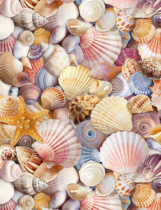 Packed Seashells by Timeless Treasures BEACH-C8460 MULTI.jpg