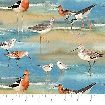 Shore Things shore birds by Northcott Fabrics 22070-42